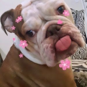 Meet your Posher, Heather